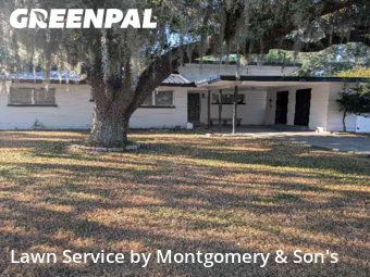 Lawn Care Service nearby Lakeland, FL, 