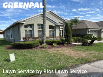 Grass Cut nearby Orlando, FL, 