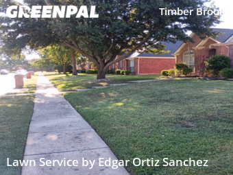 Yard Mowing nearby Plano, TX, 