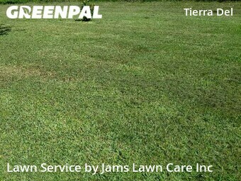 Grass Cutting nearby Land O' Lakes, FL, 