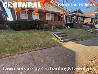 Lawn Cutting nearby St. Louis, MO, 