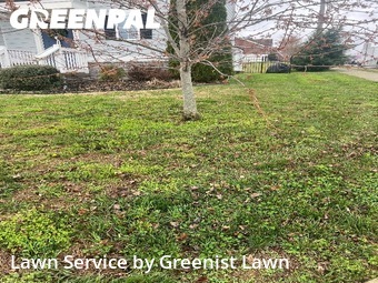 Grass Cut nearby Spring Hill, TN, 