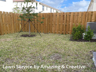 Lawn Cut nearby Princeton, FL, 