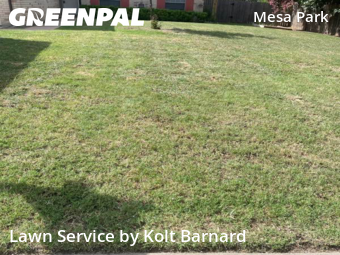 Lawn Mowing nearby Round Rock, TX, 