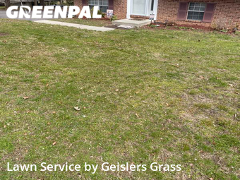 Lawn Care Service nearby Pasadena, MD, 