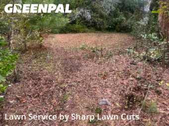 Landscaping Maintenance in Macon, 31217, Yard Maintenance by Sharp Lawn Cuts, work completed in Nov , 2025