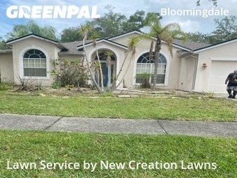 Lawn Cut nearby Valrico, FL, 