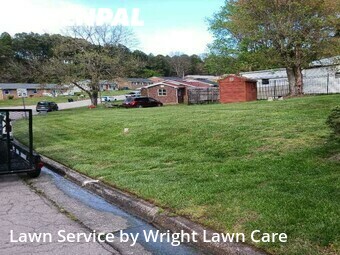 Lawn Cut nearby Durham, NC, 