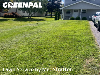 Lawn Services in Brunswick, 44212, Yard Grooming by Mgc Stratton, work completed in Oct , 2025