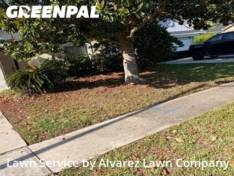 Grass Cutting nearby Orlando, FL, 