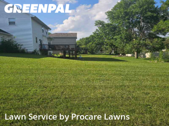 Yard Mowing in Lakeville, 55044, Yard Management by Procare Lawns, work completed in Nov , 2025