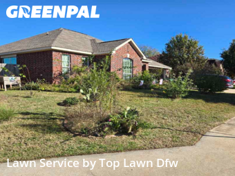 Lawn Cutin Denton,76209,Lawn Care Service by Top Lawn Dfw, work completed in Nov , 2025