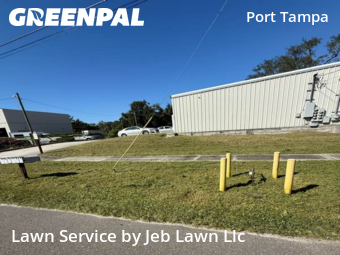 Lawn Cut nearby Tampa, FL, 