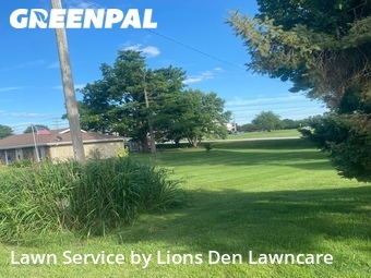 Grass Cutting nearby Springfield, MO, 