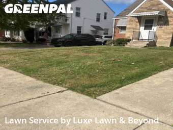 Landscaping Maintenance in Garfield Heights, 44125, Backyard Mowing by Luxe Lawn & Beyond, work completed in Nov , 2025