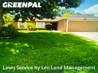 Grass Cut nearby Lakeland, FL, 