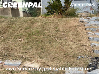 Lawn Service nearby St. Louis, IL, 