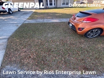 Lawn Cut nearby Deltona, FL, 