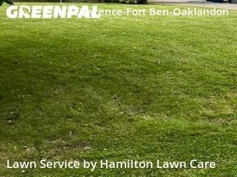 Lawn Mow nearby Indianapolis, IN, 