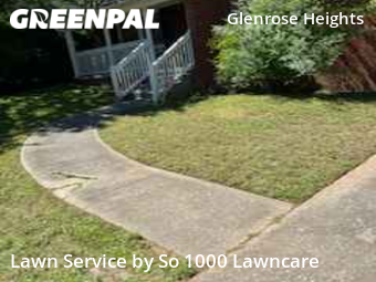 Lawn Cut nearby Atlanta, GA, 