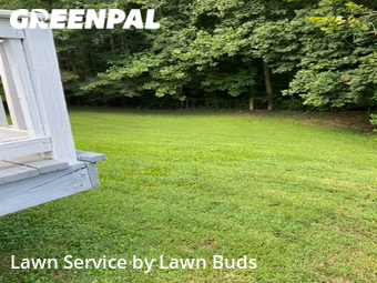 Lawn Mow nearby Charlotte, NC, 