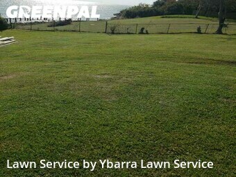 Lawn Care Service nearby Beach City, TX, 