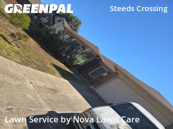 Yard Care in Pflugerville, 78660, Lawn Work by Nova Lawn Care , work completed in Nov , 2025