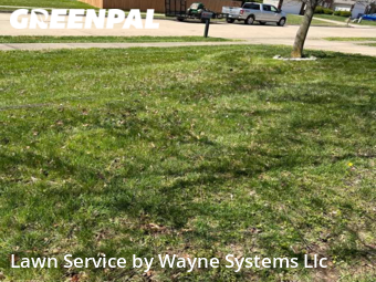 Lawn Mowing Service nearby Columbia, MO, 