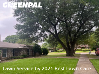 Lawn Maintenance nearby Plano, TX, 