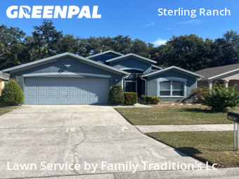 Yard Cuttingin Brandon,33511,Yard Cutting by Family Tradition’s Lc, work completed in Dec , 2025