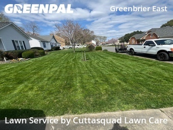 Yard Cutting nearby Chesapeake, VA, 