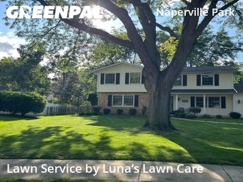 Lawn Care nearby Naperville, IL, 
