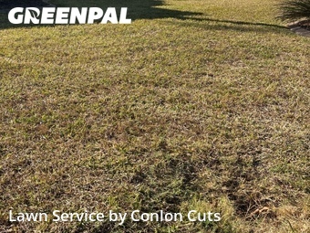 Lawn Service nearby Palmetto, FL, 