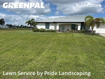 Grass Cut nearby Cape Coral, FL, 