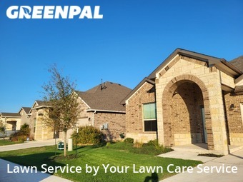 Lawn Mow nearby Pflugerville, TX, 
