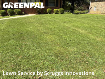 Lawn Cut nearby College Park, GA, 