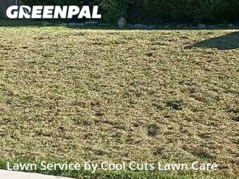 Yard Cutting nearby Grapevine, TX, 