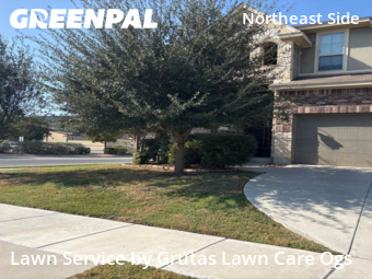 Lawn Mowin Schertz,78108,Lawn Mow by Grutas Lawn Care Ogs, work completed in Nov , 2025