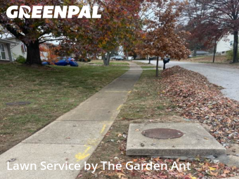 Lawn Cutting nearby Ballwin, MO, 