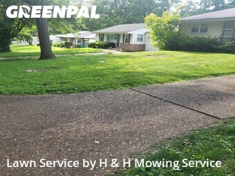 Yard Cutting nearby St. Louis, MO, 