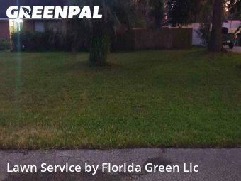 Lawn Upkeep in Fruit Cove, 32259, Weed Trimming by Florida Green Llc , work completed in Nov , 2025