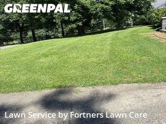 Lawn Maintenance nearby Leeds, AL, 