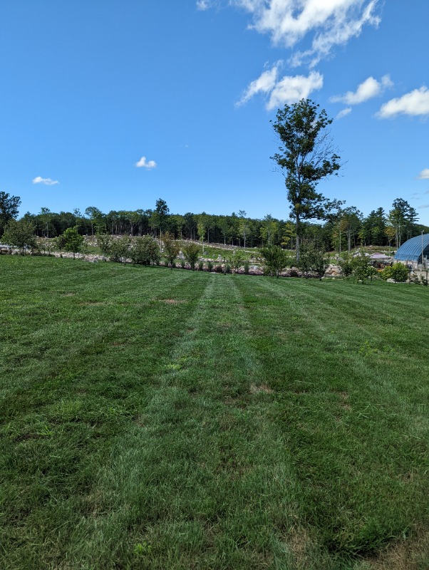 Newfield Lawn Mainte Lawn Care Services in Newfield, ME