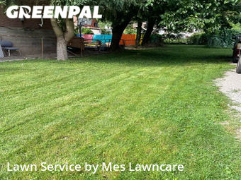 Grass Cut nearby Pittsburgh, PA, 