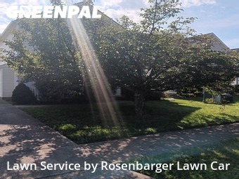 Yard Mowing nearby Louisville, KY, 