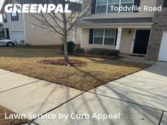 Landscaping Renovation In Charlotte,28208,Landscaping Services by Curb Appeal, work completed in Dec , 2025