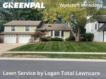 Grass Cutting nearby Olathe, KS, 