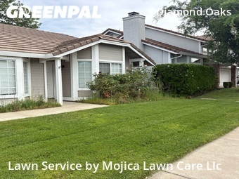 Work completed by professional-lawn-care-service-in-Roseville-CA