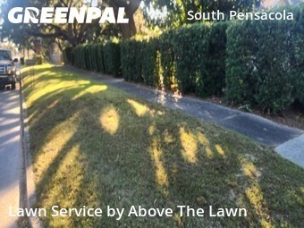 Lawn Upkeep in Pensacola, 32502, Yard Maintenance by Above The Lawn, work completed in Dec , 2025