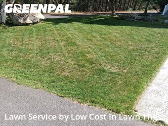 Grass Cut nearby Spokane Valley, WA, 